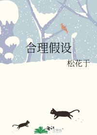 合理假设